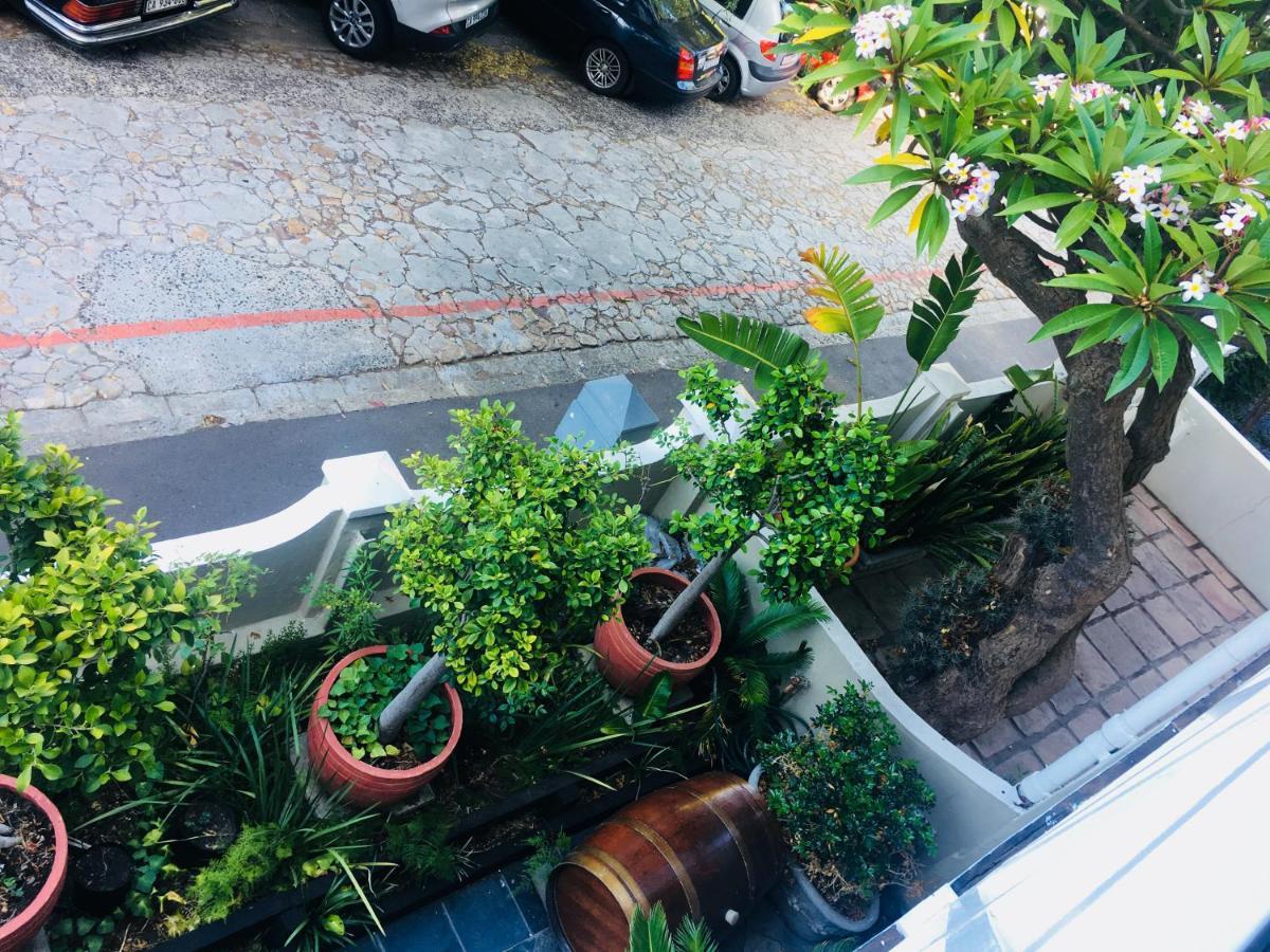 开普敦 哥顿宾馆酒店 外观 照片